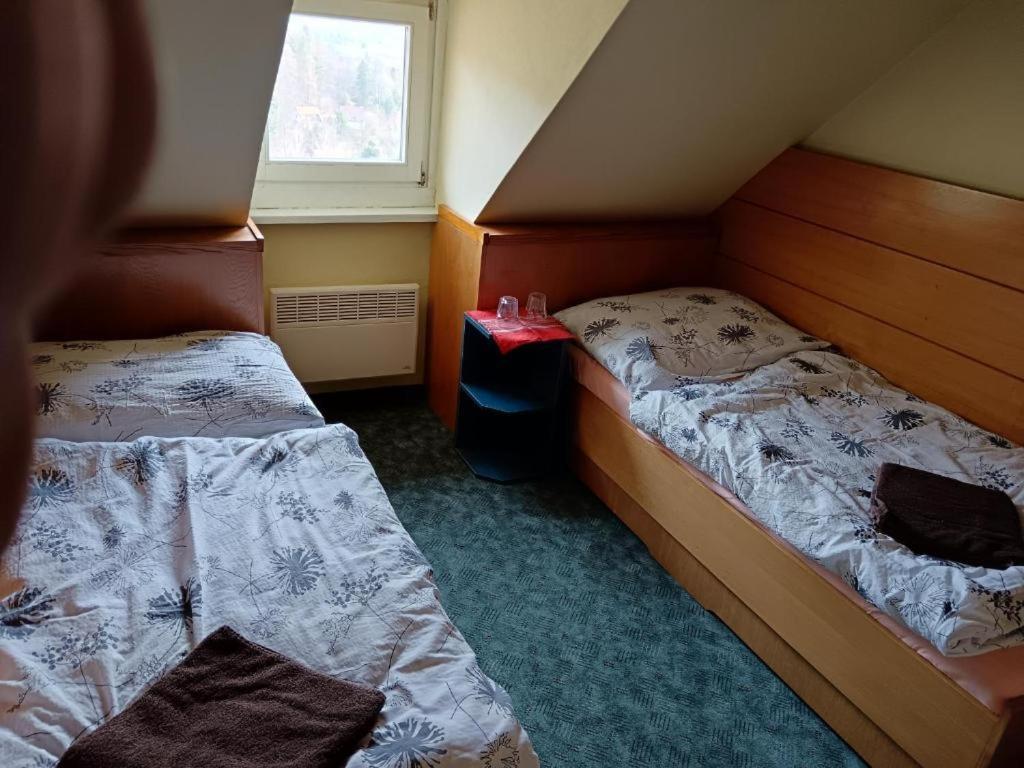 Jandlova Vila Frenštát pod Radhoštěm Værelse billede